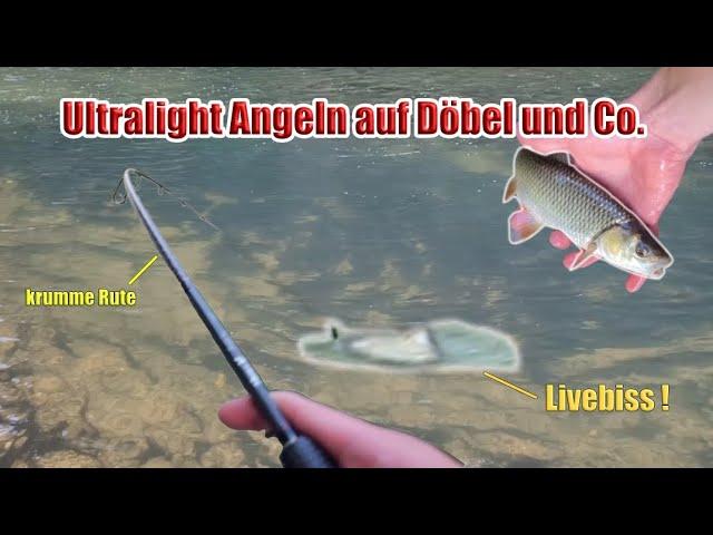 Erfolgreiches Ultralight Angeln auf Döbel - Livebisse !