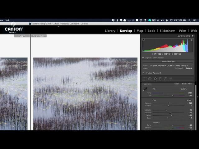 Softproofing in Lightroom by Robert Rodriguez Jr