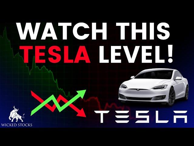 Tesla Stock Price Analysis | Top Levels To Watch for November 13th, 2024