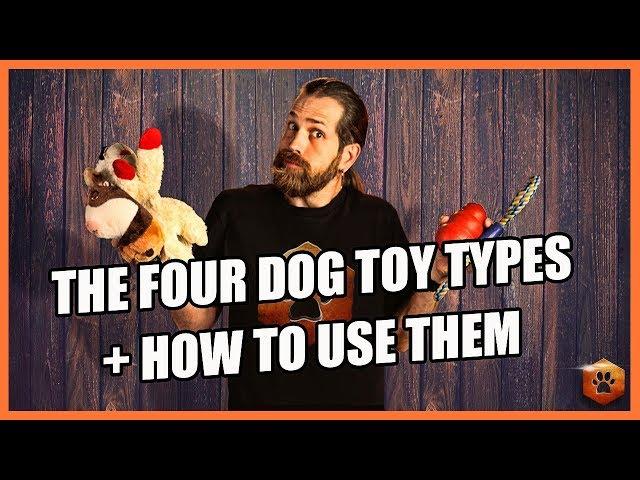 How to Use the 4 Types of Dog Toys RIGHT!