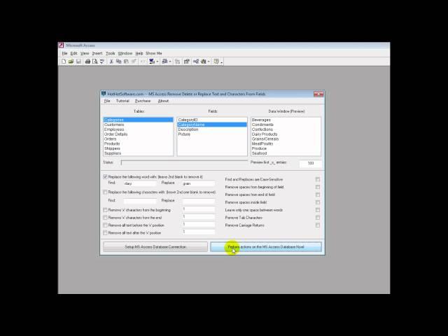 How to find and replace in microsoft access, and remove/delete whitespaces and characters