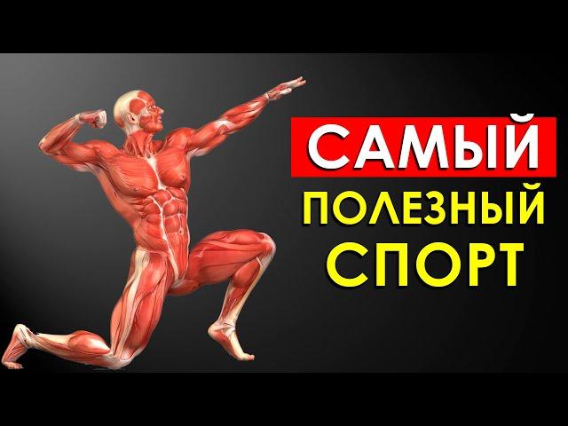 Ученые Назвали Самый Полезный Вид Спорта Для Человека