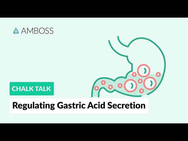 Regulating Gastric Acid Secretion: Acetylcholine, Gastrin, and Histamine