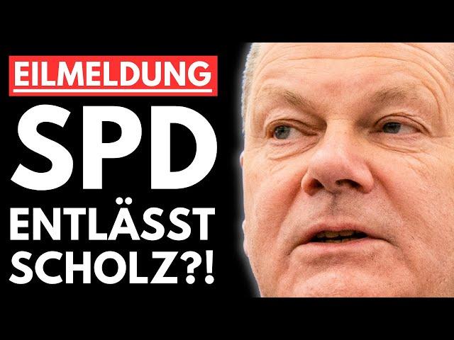 EILMELDUNG: SPD ENTLÄSST SCHOLZ?! ALTPARTEIEN VERSINKEN IM CHAOS!