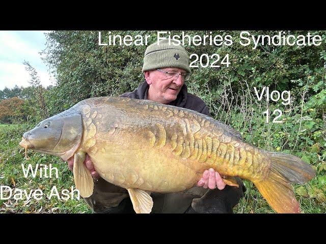 Linear fisheries Syndicate Vlog 12  with Dave Ash