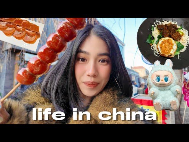 living in china | shanghai days, crazy food trip to beijing & tianjin!