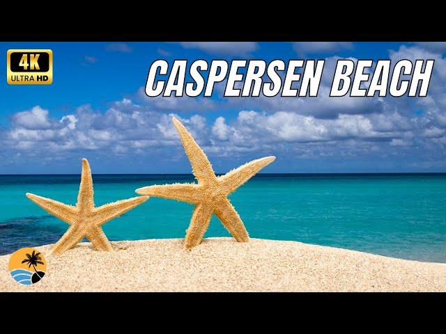 Caspersen Beach 2022 - Venice Florida