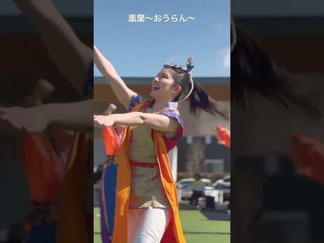 #凰蘭 #おうらん #宇都宮よさこい祭 #ミナテラスとちぎ #よさこい #ダンス #dance #日本祭典 #祭り