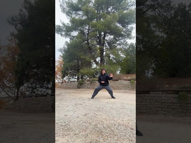 Chen Style Tai Chi 🫖️ #taichi #qigong #kungfu