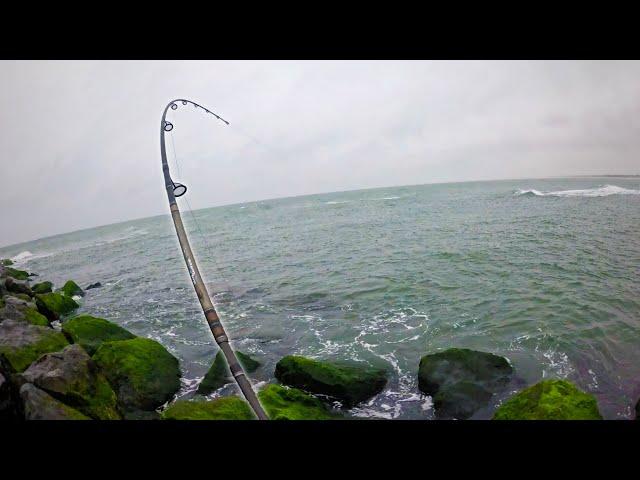 EVERYTHING was Biting on the Jetty!!! NJ Surfcasting!