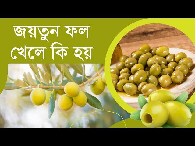 জয়তুন ফলের উপকারিতা, জয়তুন ফলের দাম কত, কোথায় পাবেন জয়তুন ফল | Olive Fruit Price in Bangladesh