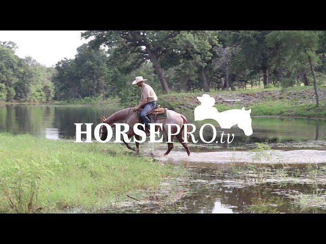 Horse Training Video: HORSEpro.tv with Cowhorse Trainer Robert Rivers Teaching Vertical Softness