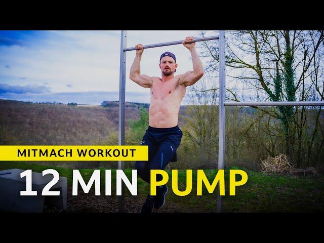 12 MIN FULL BODY WORKOUT (PRO & BEGINNER)