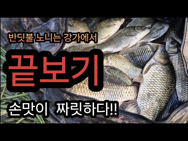 끝보기 낚시에  즐거움/강낚시/연천