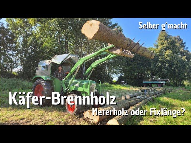 Käfer-Fichten | Holzrücken | Oldtimer im harten Forsteinsatz