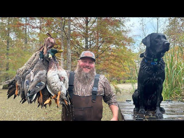 2 Days at a Beautiful Lodge Hunting Ducks, Quail, & Pheasants with some Great Dogs!