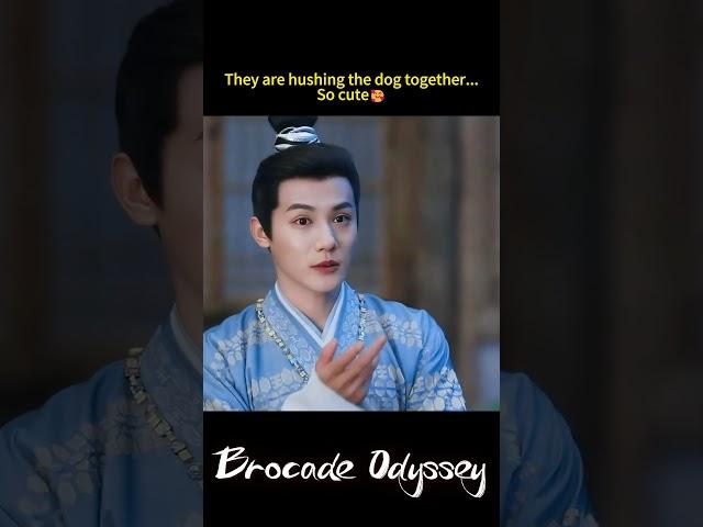 Cute couple!| Brocade Odyssey | YOUKU