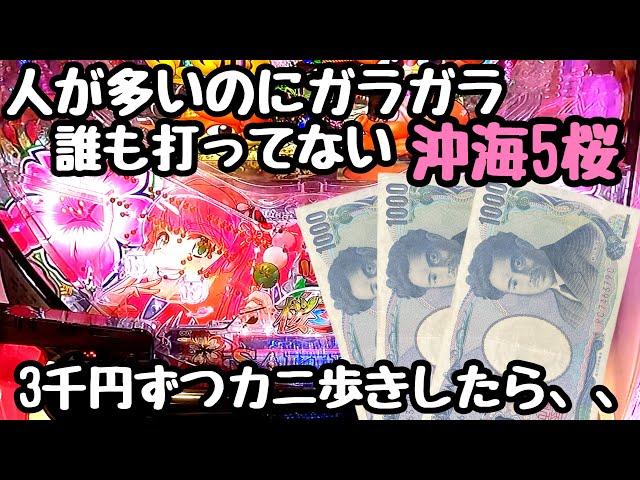 人が多いのに誰も打ってない沖海5桜を3,000円ずつカニ歩きしてお金を増やしてみる。【Pスーパー海物語 IN 沖縄5 桜ver.199】