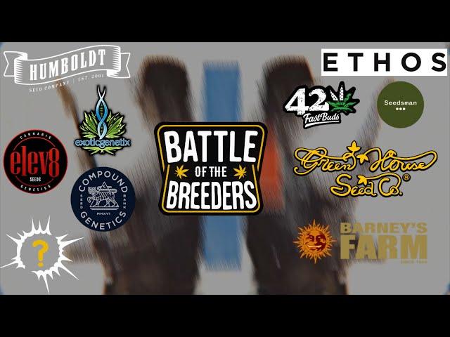 What is Battle of The Breeders?