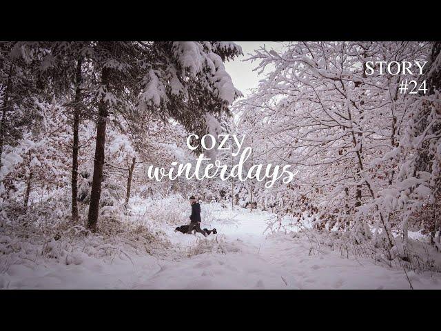 Cozy winter days - Lokis first snow in the woods & home-made chicken broth | slow living silent vlog