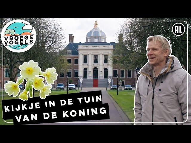 Bloemen in de tuin van de koning | TV| Vroege Vogels