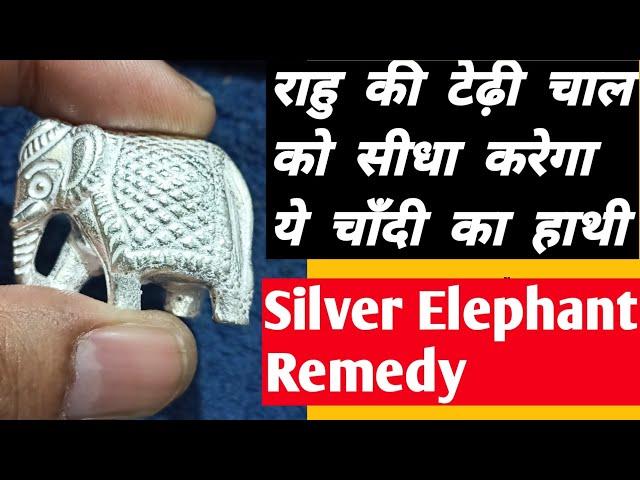 Best Remedy to Control Rahu By Silver Elephant | बड़े कमाल का चाँदी का हाथी | Lal Kitab Ke Upay