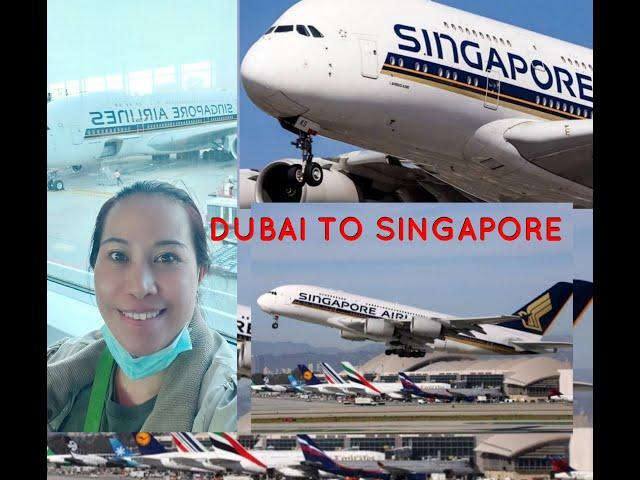 Dubai to Singapore Part 1 #itsmylife #dubai #singapore