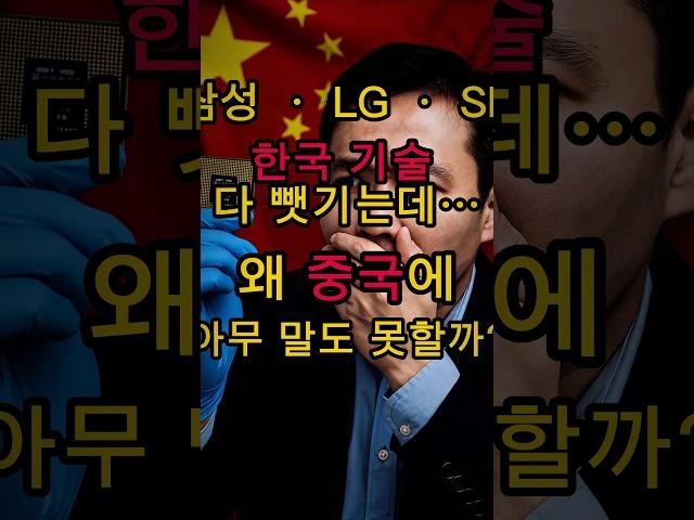 삼성·LG·SK 한국 기술 다 뺏기는데… 왜 중국에 아무 말도 못할까? | #Shorts #쇼츠 #이슈 #정보 #쇼츠이슈 #쇼츠뉴스