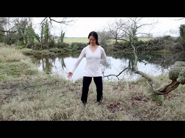 Bone Marrow Cleanse Qigong Practice