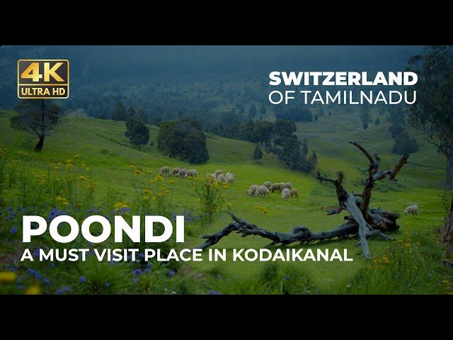 Poondi | A must visit place in Kodaikanal | Switzerland of Tamil Nadu | Unexplored Village | Vlog#38