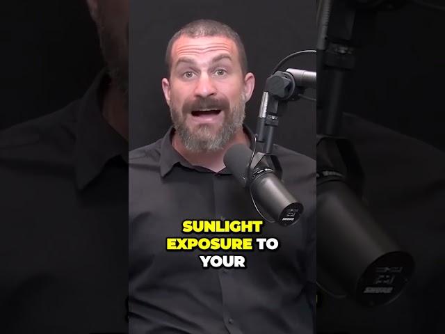 The Surprising Truth About Cloudy Days and Sunshine Exposure - Huberman Labs