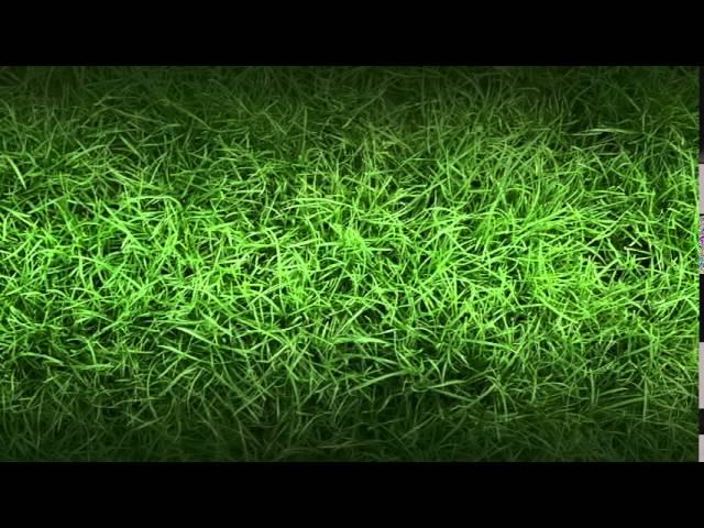 Fall/Winter Lawn Care | Advanced Irrigation of Twin Cities MN