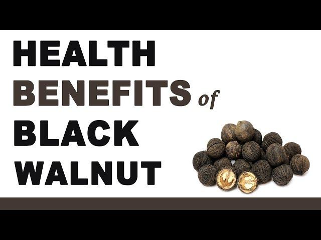 Health Benefits of Black Walnut