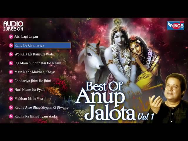 10 Anup Jalota Bhajans | Hindi Non Stop Bhajan Sandhya | Anup Jalota Songs - sai aashirwad