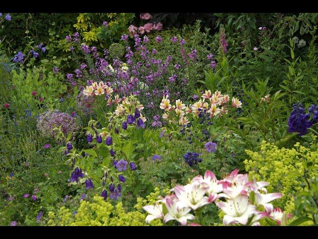 Adam Pasco's Summer Garden Virtual Tour