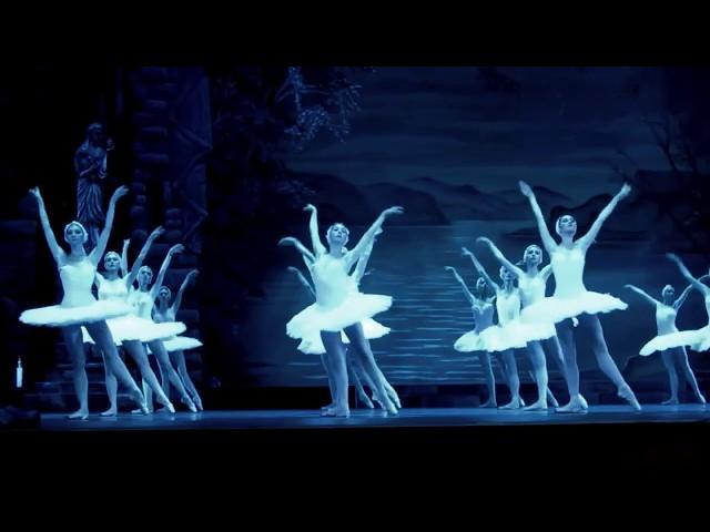 "Лебединое озеро". Кремлёвский балет. "Swan lake". Kremlin ballet.