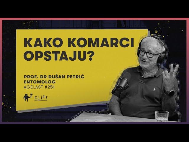 Kako komarci opstaju?