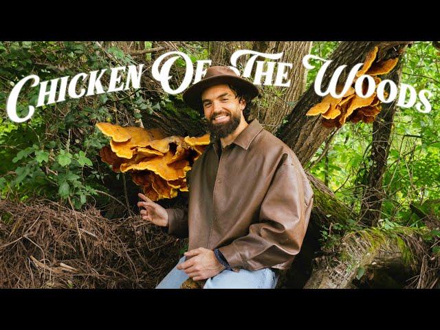 The BEST Mushroom in the World