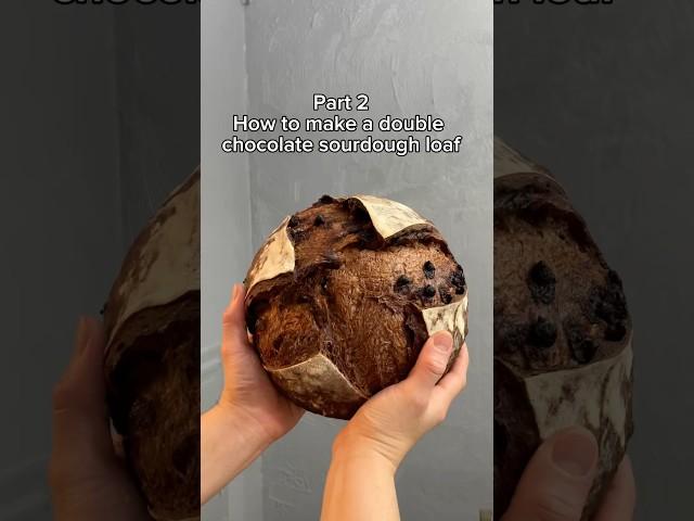 How to make a double chocolate sourdough loaf #sourdough #sourdoughbread #sourdoughforbeginners