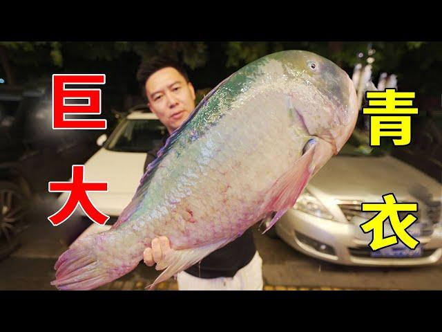 Huge tsing yi fish feast  one fish 15 eat  absolutely