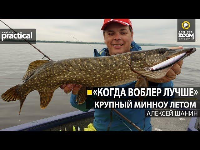 "Когда воблер лучше."  Крупный минноу летом.  Алексей Шанин. Anglers Practical