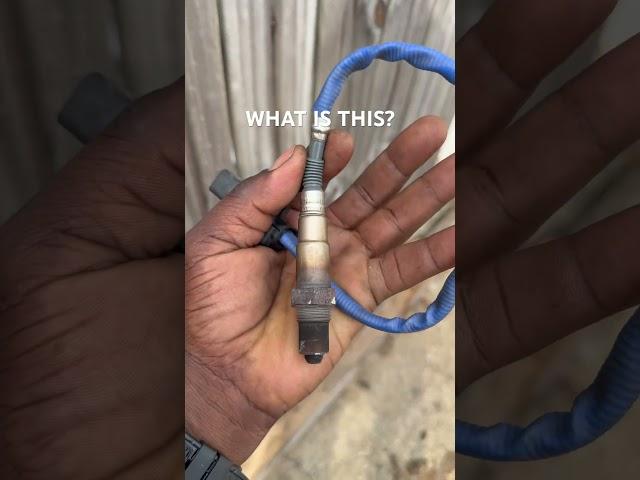 What is this?