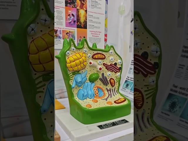 Infinity Science Zone