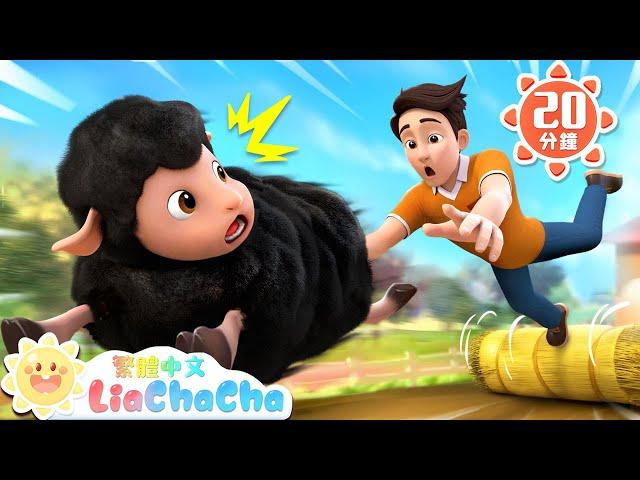小羊咩咩叫  Baa Baa Black Sheep +更多 | 經典兒歌 | TOP熱門 | 小動物 | 依娜和恰恰 | LiaChaCha 繁體中文 - 兒歌童謠