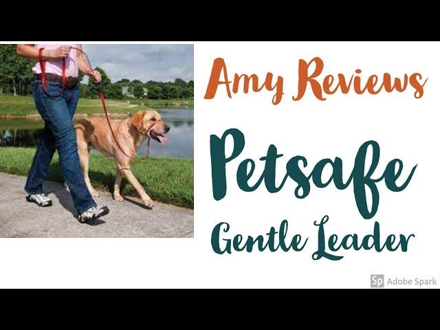 PetSafe Gentle Leader Headcollar, No-Pull Dog Collar Review