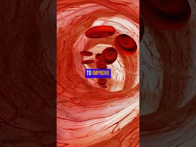 What is nitric oxide? #nitricoxide #methyleneblue #microbiome