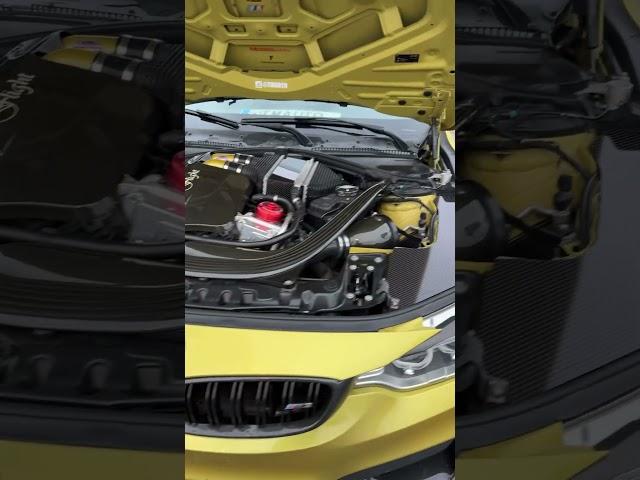 #Bimmerinvasion Vibes with #dinmann #m4maloo #carbonfiber #f80 #G82 #orlando #mflight #s55 #S58 #bmw