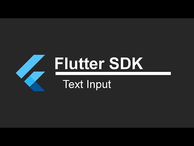 Flutter SDK Tutorial - Text Input (App Development)