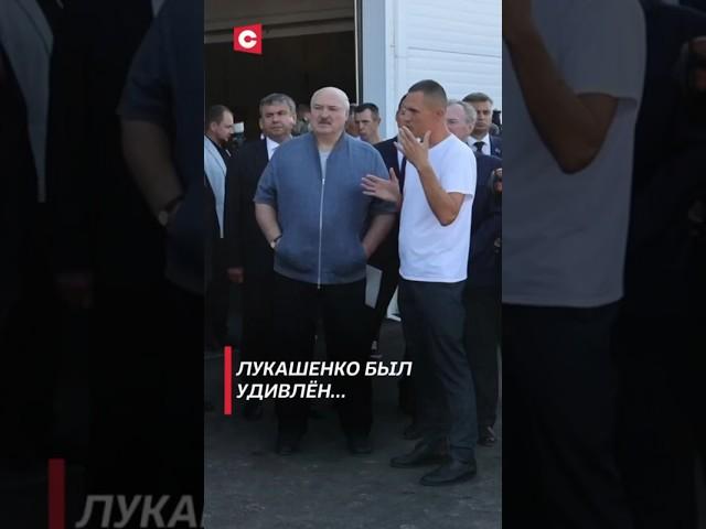 Лукашенко был удивлён… #лукашенко #новости #политика #беларусь #фермы #shorts