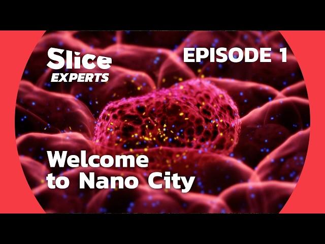 The Nano-Revolution : Welcome to Nano city | SLICE EXPERTS